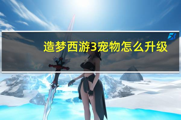造梦西游3宠物怎么升级