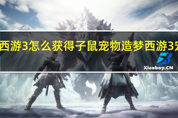 造梦西游3怎么获得子鼠宠物 造梦西游3宠物怎么抓