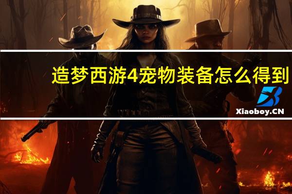 造梦西游4宠物装备怎么得到（造梦西游4宠物装备怎么得）