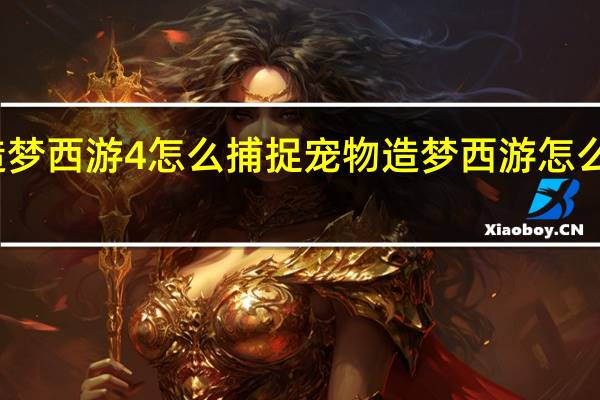 造梦西游4怎么捕捉宠物 造梦西游怎么抓宠物