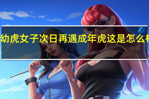 遇幼虎女子次日再遇成年虎 这是怎么样的经历?