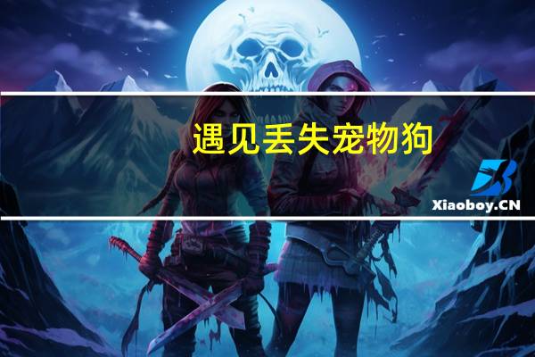 遇见丢失宠物狗