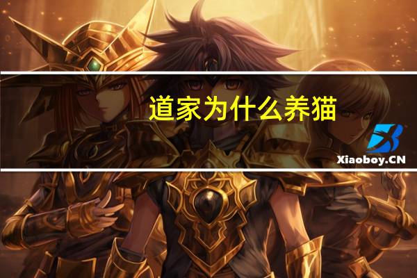道家为什么养猫