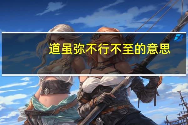 道虽弥不行不至的意思