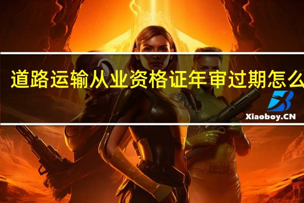 道路运输从业资格证年审过期怎么处罚