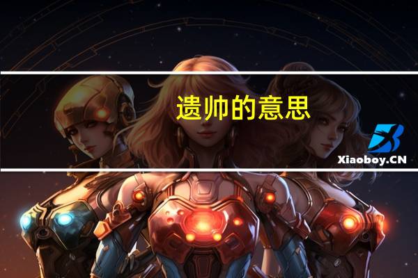 遗帅的意思