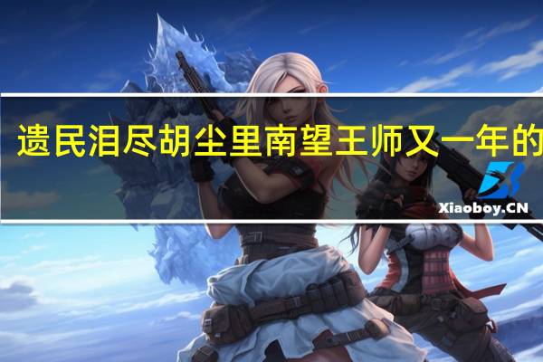 遗民泪尽胡尘里南望王师又一年的概括