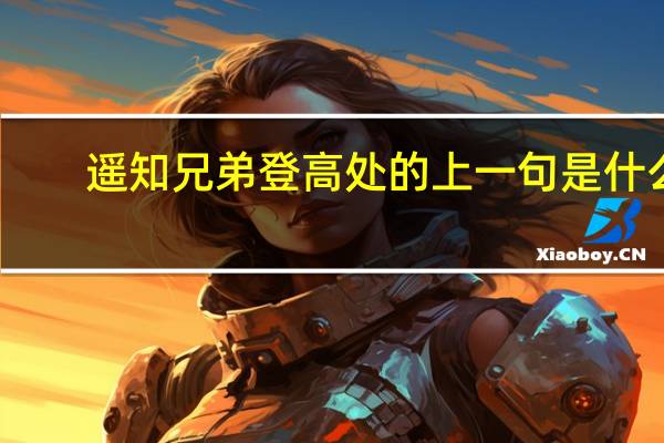 遥知兄弟登高处的上一句是什么