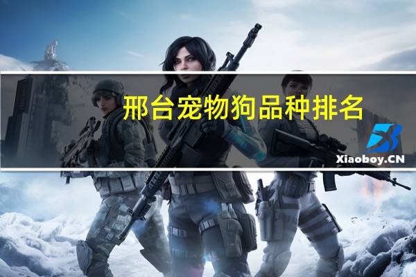 邢台宠物狗品种排名