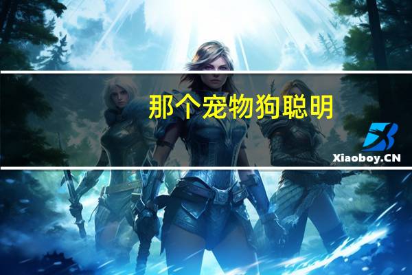 那个宠物狗聪明