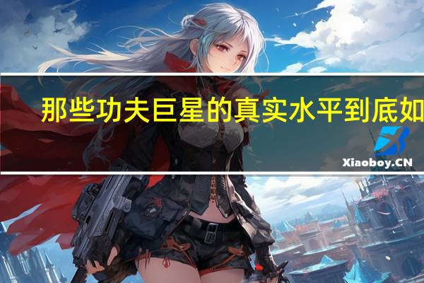 那些功夫巨星的真实水平到底如何