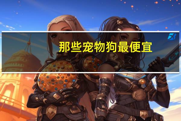 那些宠物狗最便宜