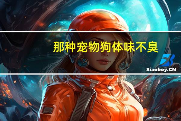 那种宠物狗体味不臭