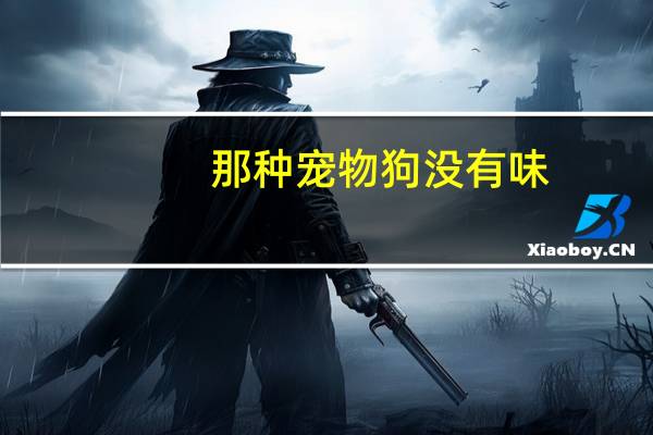 那种宠物狗没有味