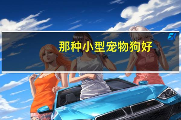 那种小型宠物狗好