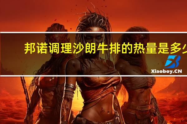 邦诺 调理沙朗牛排的热量是多少