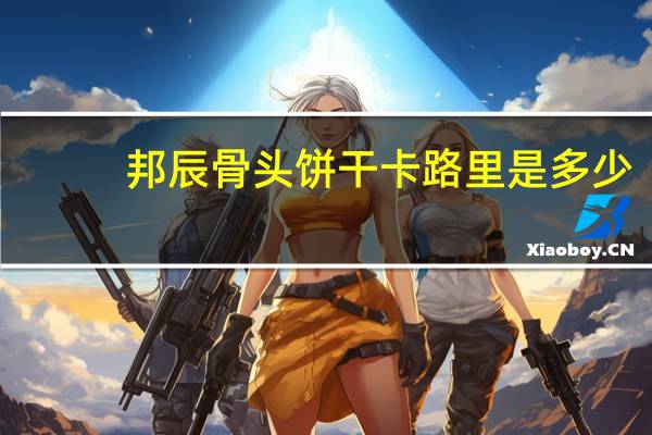 邦辰 骨头饼干卡路里是多少