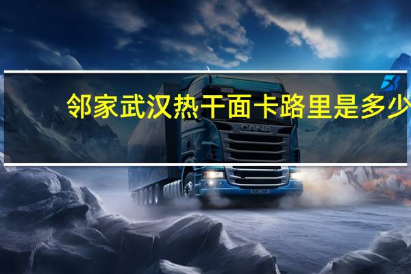 邻家 武汉热干面卡路里是多少
