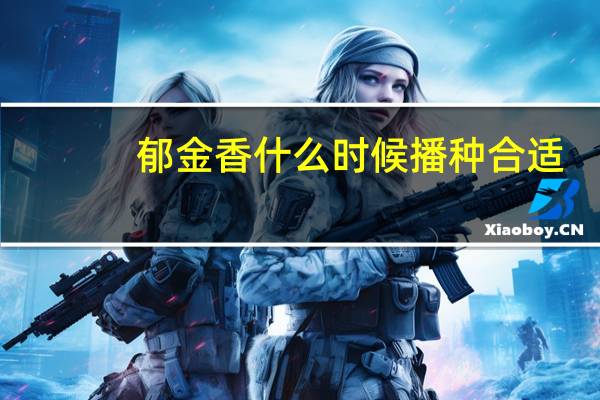 郁金香什么时候播种合适