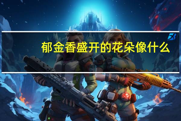 郁金香盛开的花朵像什么