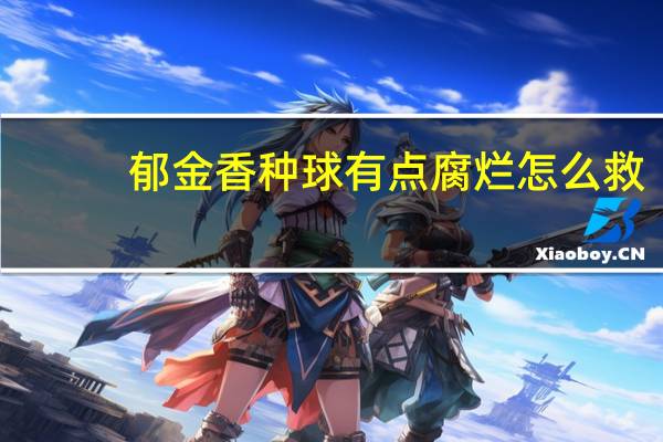 郁金香种球有点腐烂怎么救