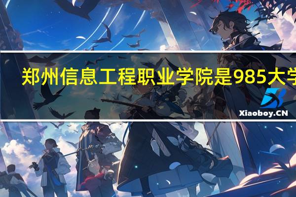 郑州信息工程职业学院是985大学吗