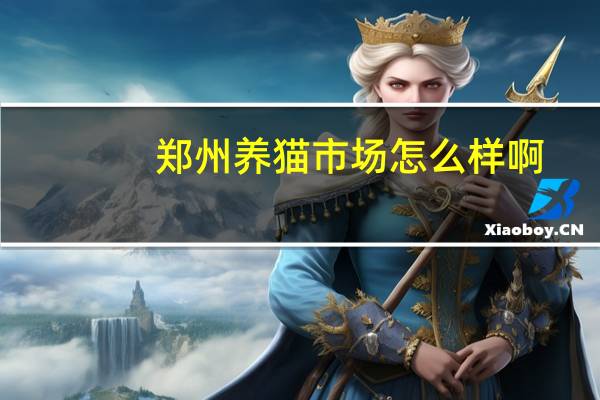 郑州养猫市场怎么样啊