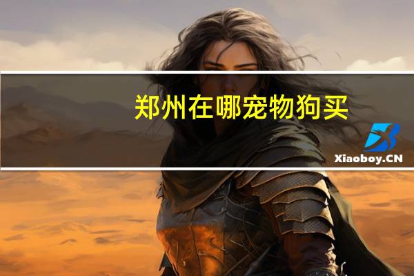 郑州在哪宠物狗买