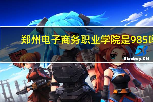 郑州电子商务职业学院是985吗