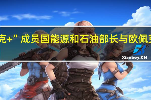 部分“欧佩克+”成员国能源和石油部长与欧佩克秘书长举行会面
