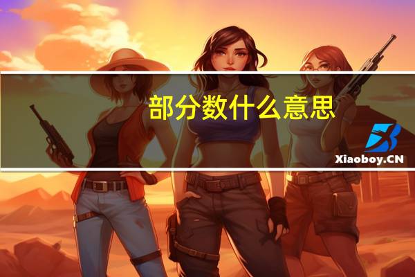 部分数什么意思