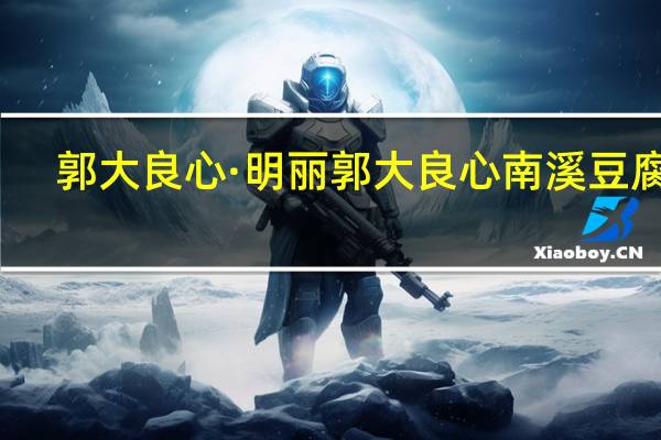 郭大良心·明丽 郭大良心 南溪豆腐干(五香味)卡路里是多少