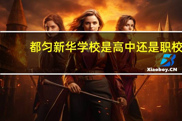 都匀新华学校是高中还是职校