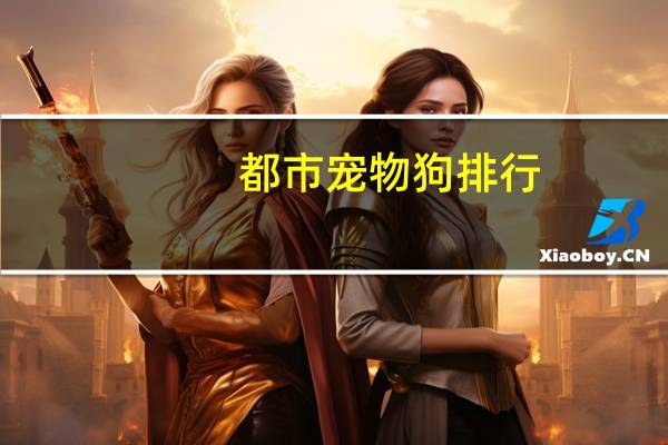 都市宠物狗排行