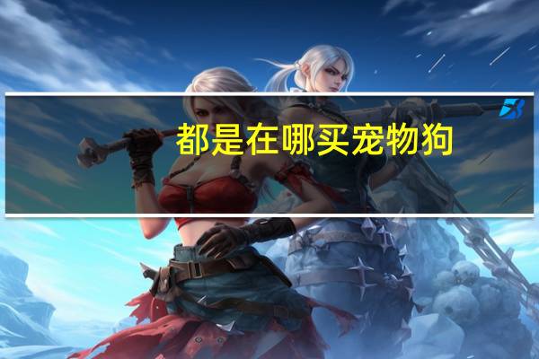 都是在哪买宠物狗