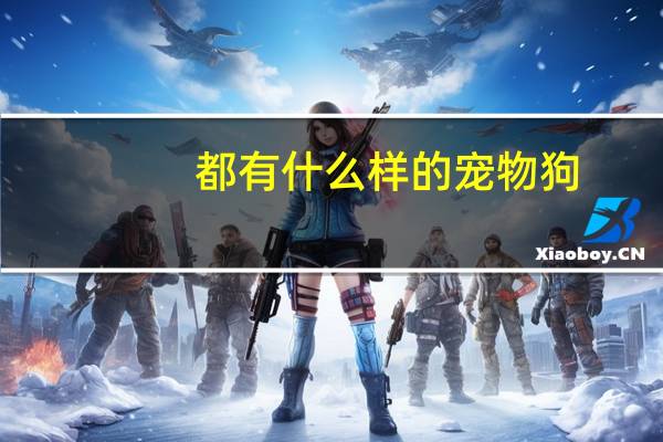 都有什么样的宠物狗