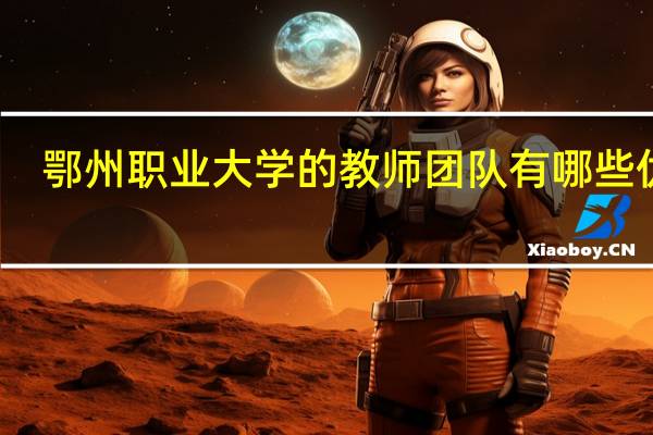 鄂州职业大学的教师团队有哪些优势