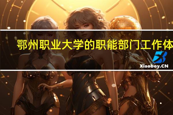 鄂州职业大学的职能部门工作体验
