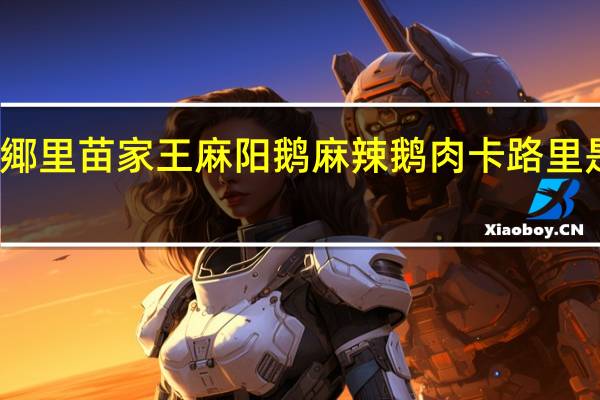 鄊里苗家王 麻阳鹅 麻辣鹅肉卡路里是多少