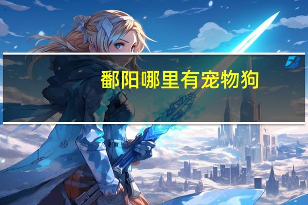鄱阳哪里有宠物狗