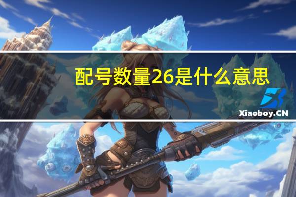 配号数量26是什么意思（配号数量2是什么意思）