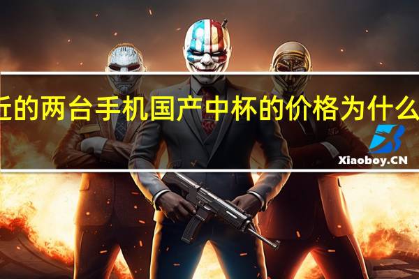 配置相近的两台手机国产中杯的价格为什么能便宜很多呢