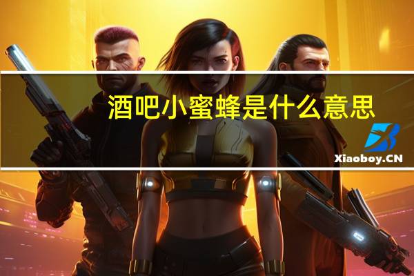 酒吧小蜜蜂是什么意思