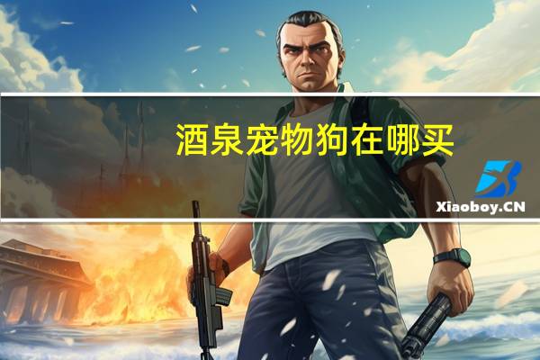 酒泉宠物狗在哪买