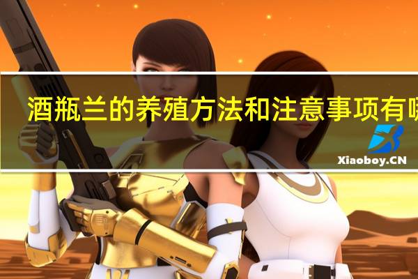 酒瓶兰的养殖方法和注意事项有哪些