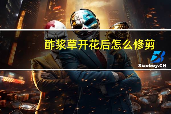 酢浆草开花后怎么修剪