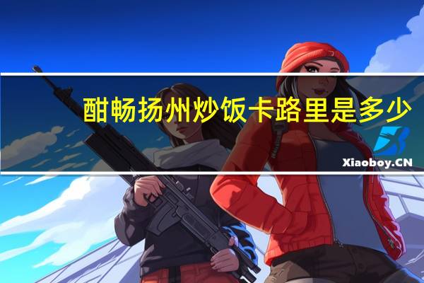 酣畅 扬州炒饭卡路里是多少