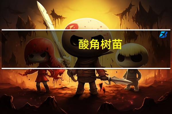 酸角树苗（酸角树）