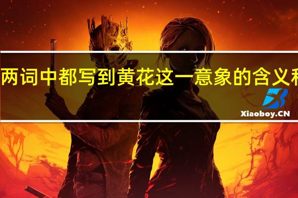 醉花阴和声声慢两词中都写到黄花这一意象的含义和表达的情感是否相同