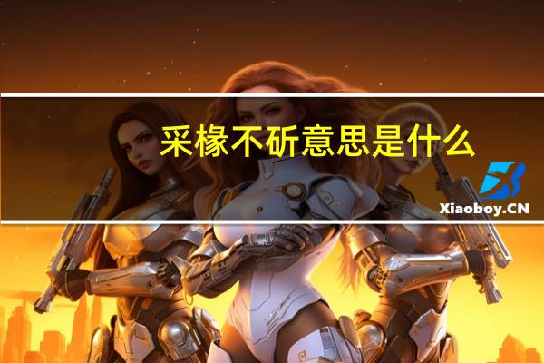 采椽不斫意思是什么